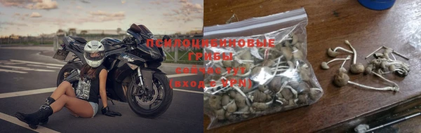 дурь Осинники