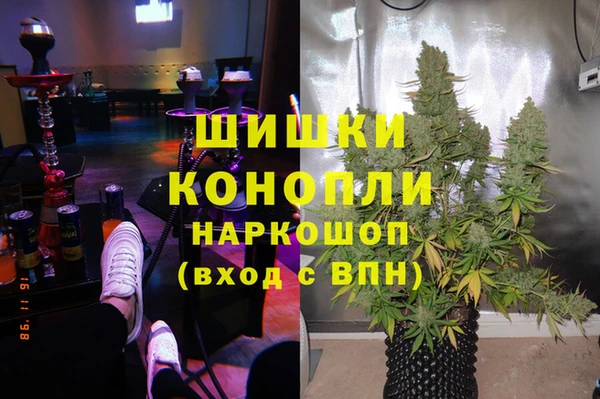 дурь Осинники